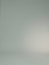 High-Elastic Button Detail Webbing Polo Collar Sleeveless Tennis Dress White